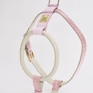 FATTI NOTARE PINK